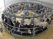 Оборудование для животноводства