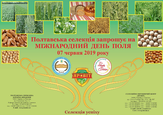 Международный День поля 2019